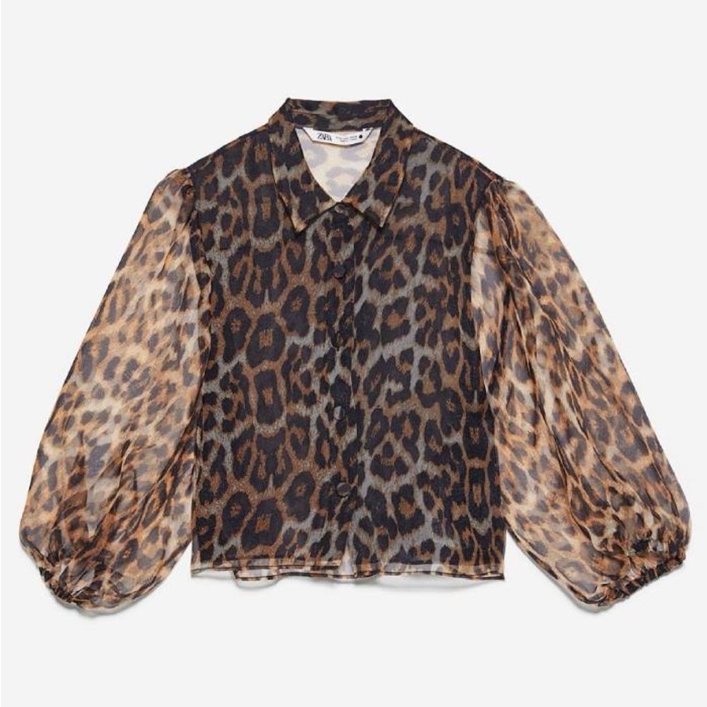 Zara Leopard Print Sheer Blazer